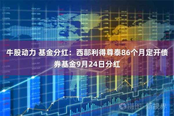 牛股动力 基金分红：西部利得尊泰86个月定开债券基金9月24日分红