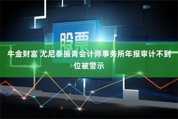 牛金财富 尤尼泰振青会计师事务所年报审计不到位被警示