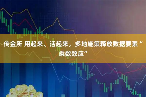 传金所 用起来、活起来，多地施策释放数据要素“乘数效应”