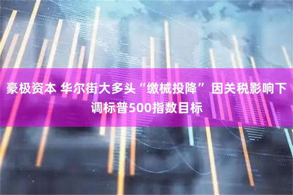 豪极资本 华尔街大多头“缴械投降” 因关税影响下调标普500指数目标
