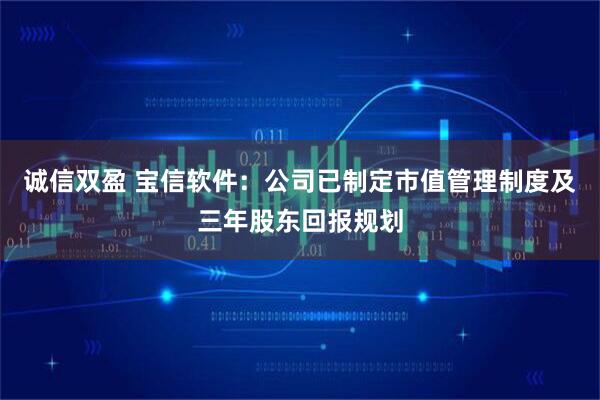 诚信双盈 宝信软件：公司已制定市值管理制度及三年股东回报规划