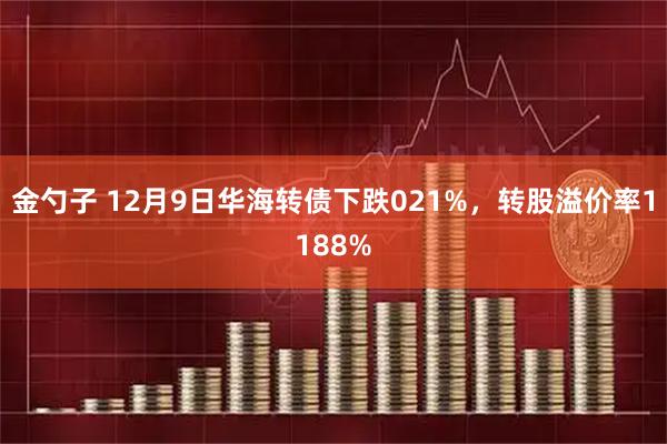金勺子 12月9日华海转债下跌021%，转股溢价率1188%