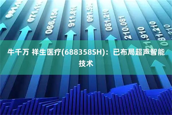 牛千万 祥生医疗(688358SH)：已布局超声智能技术